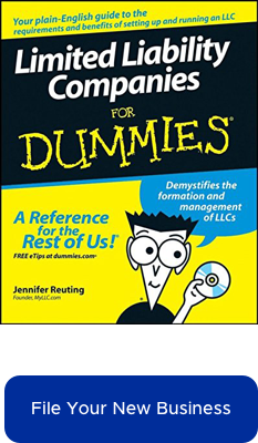 LLCs for dummies book